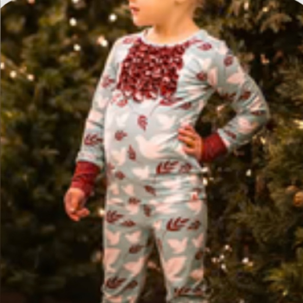 Cheeky Plum Toddler Girl Teal and Maroon Peace Dove Loungewear Set